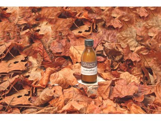 Legacy Lederpflege für Rau... 2