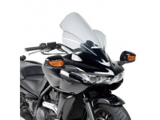 Szyba turystyczna Givi...