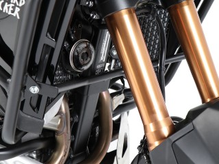 Wspornik gmoli górnych... 2