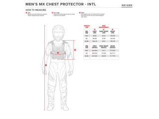 Zbroja Alpinestars Bionic... 2